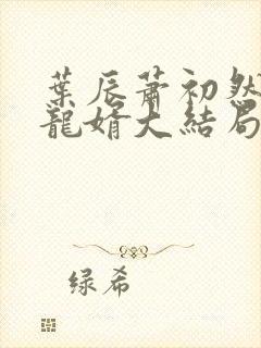 叶辰萧初然上门龙婿大结局