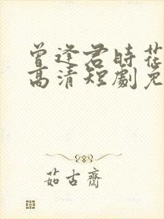 曾逢君时花照眼高清短剧免费网站