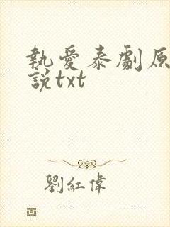 执爱泰剧原著小说txt