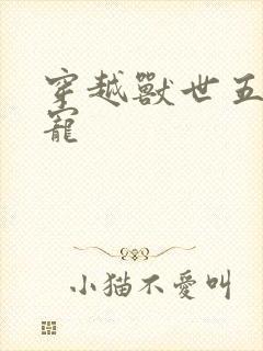 穿越兽世五夫狂宠