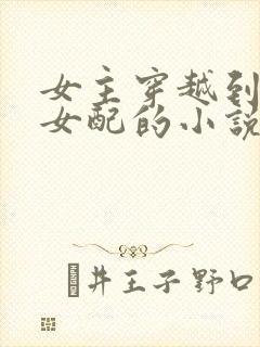 女主穿越到西幻女配的小说