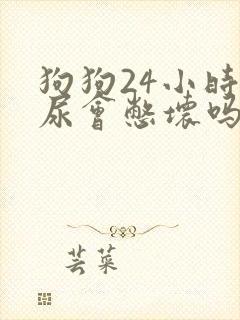 狗狗24小时不尿会憋坏吗