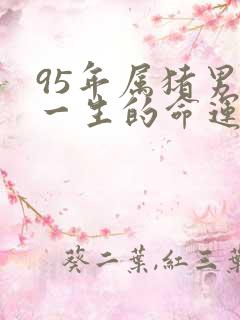 95年属猪男人一生的命运婚姻