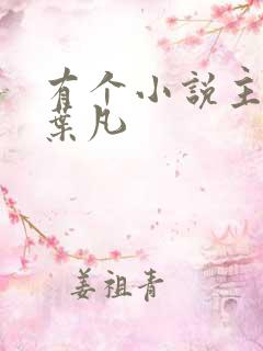 有个小说主角叫叶凡