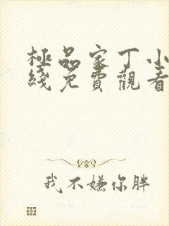 极品家丁小说在线免费观看