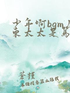 少年啊bgm房东太太是骂人的吗