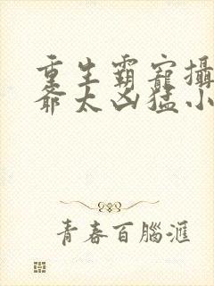 重生霸宠摄政王爷太凶猛小说txt