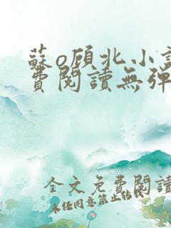 苏o顾北小说免费阅读无弹窗