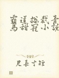 霸道总裁青梅竹马甜宠小说完结