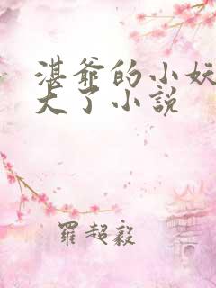 湛爷的小妖精长大了小说