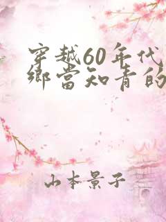 穿越60年代下乡当知青的小说