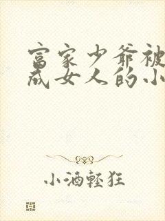 富家少爷被改造成女人的小说