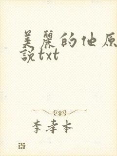 美丽的他原著小说txt