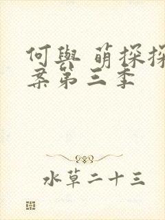 何与 萌探探探案第三季