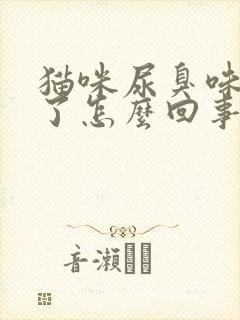 猫咪尿臭味太重了怎么回事