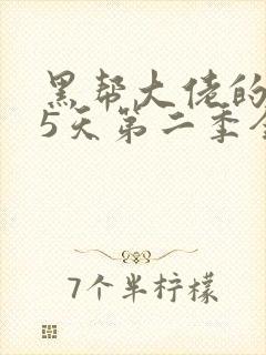 黑帮大佬的365天第二季全集