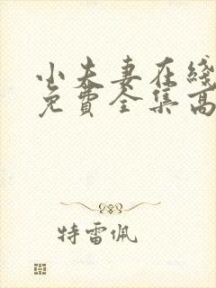 小夫妻在线观看免费全集高清完整