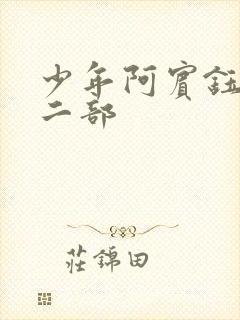 少年阿宾钰慧第二部