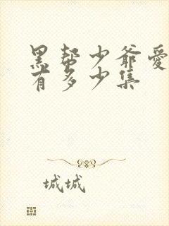 黑帮少爷爱上我有多少集