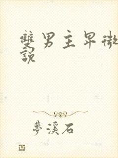 双男主卑微受小说