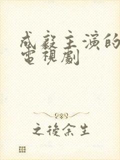 成毅主演的所有电视剧