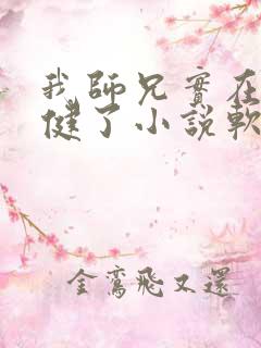 我师兄实在太稳健了小说软件