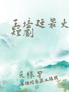 王培廷最火三部短剧