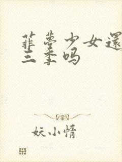 菲梦少女还有第三季吗