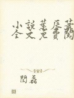 小说叶辰萧初然全文免费阅读最新章节