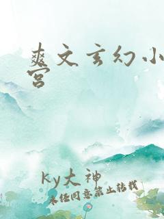 爽文玄幻小说后宫