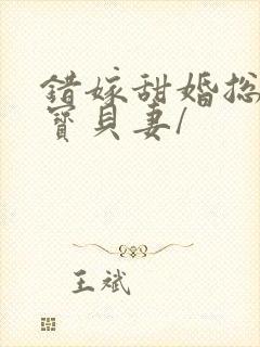 错嫁甜婚总裁的宝贝妻/