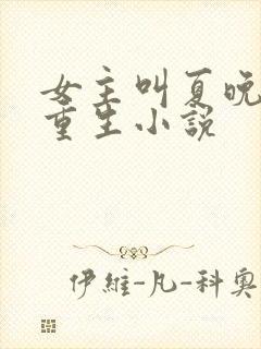 女主叫夏晚晚的重生小说