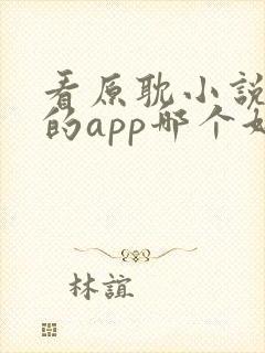 看原耽小说免费的app哪个好用