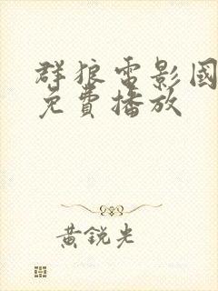 群狼电影国语版免费播放