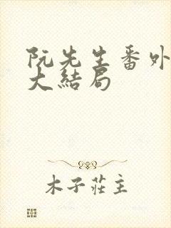 阮先生番外五篇大结局