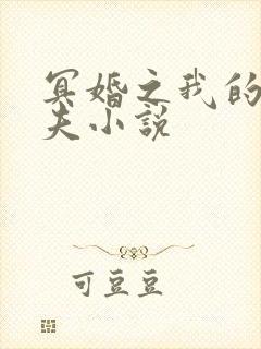 冥婚之我的鬼丈夫小说