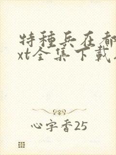 特种兵在都市txt全集下载夜十三