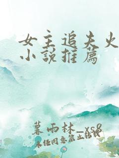 女主追夫火葬场小说推荐