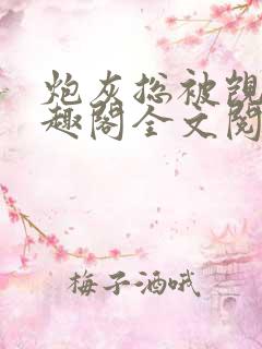 炮灰总被觊觎笔趣阁全文阅读免费