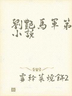 刘艳马军第九部小说