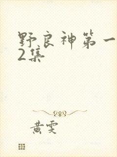 野良神第一季12集