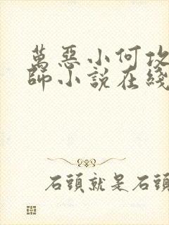 万恶小何攻速牧师小说在线阅读