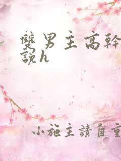 双男主高干文小说h