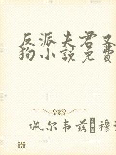 反派夫君又疯又狗小说免费阅读