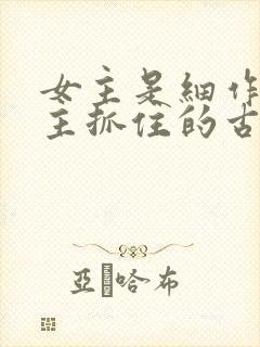 女主是细作被男主抓住的古言