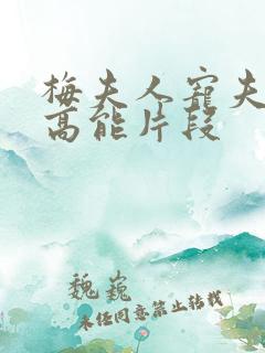 梅夫人宠夫日常高能片段