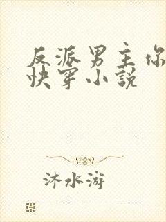 反派男主你好坏快穿小说