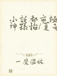 小说都市极品医神孙怡/夏若雪最新