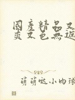 国产精品又黄又爽又色无遮挡视频