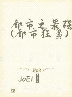 都市之最强狂兵(都市狂枭)